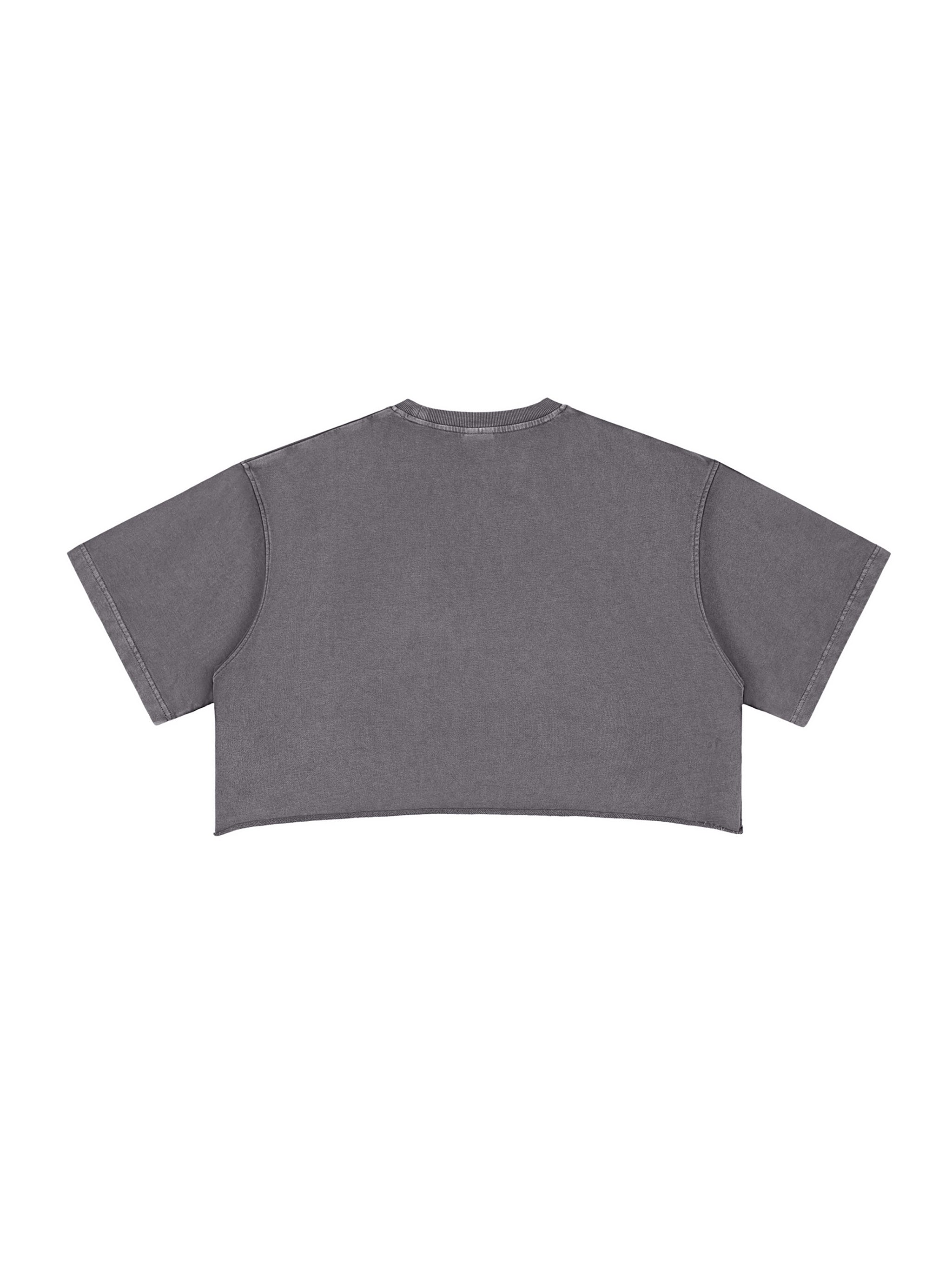 No Ur Ish NOURISH Snow Washed Raw Edge Crop Top